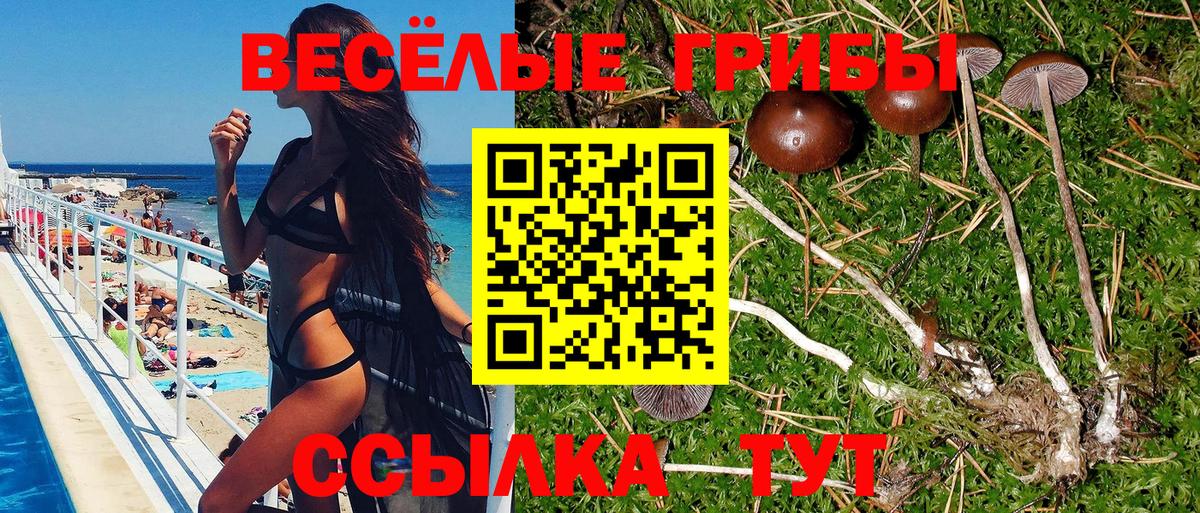 Псилоцибиновые грибы прущие грибы  Галлюциногенные грибы Psilocybe  наркотики  Вход с VPN  Фрязино 