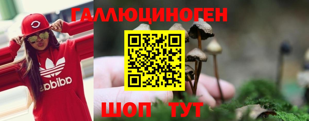 Галлюциногенные грибы GOLDEN TEACHER Фрязино