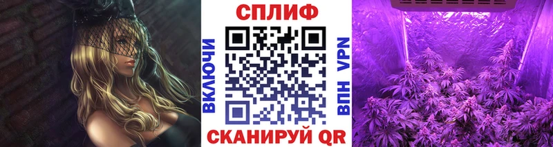 МАРИХУАНА THC 21%  ОМГ ОМГ tor  Фрязино  продажа наркотиков 
