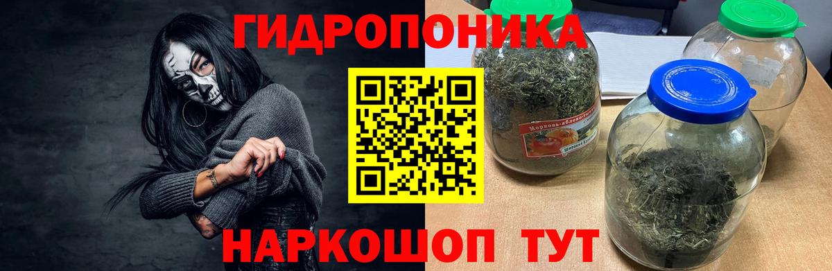 Фрязино  МАРИХУАНА Amnesia  Бошки Шишки SATIVA & INDICA  Вход с VPN  Каннабис сатива 